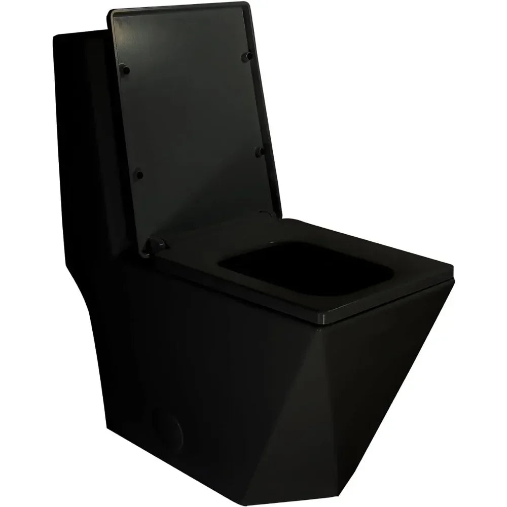 Square One Piece Toilet Black With Gold Button