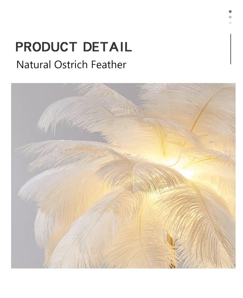 Modern Ostrich Feather Led Floor Lamp